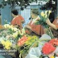 Funchal (vendeuses de fleurs)