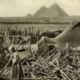 Arrivée au Caire (camp bédouin et pyramides)