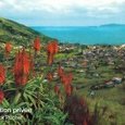 Funchal (village de pécheurs)